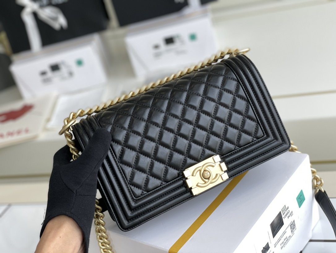 Chanel Leboy Series Bags